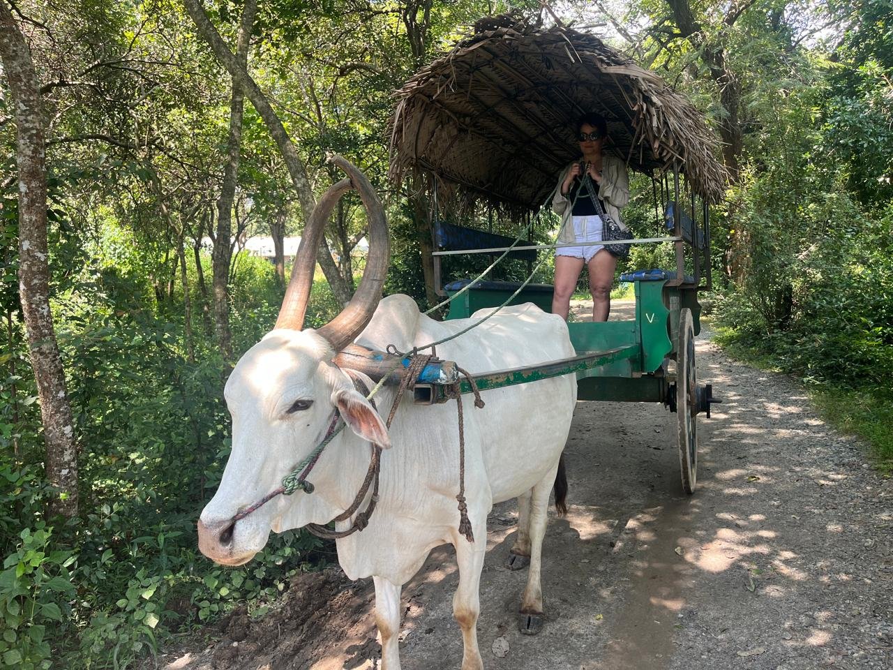 Travel with Chanaka Guest Tour